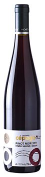 Pinot Noir- Nové vinařství